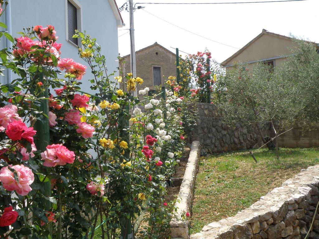 Apartment Roze Cizici
