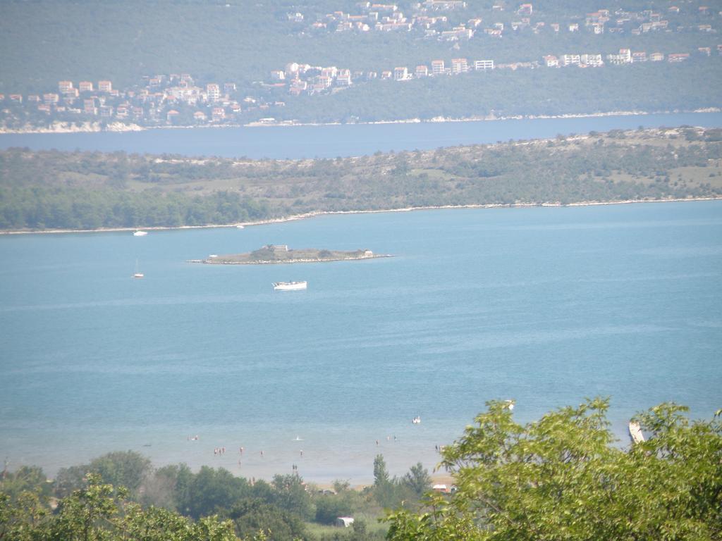 Roze Cizici