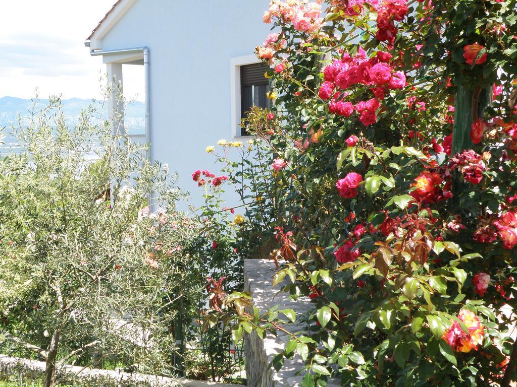 Apartment Roze