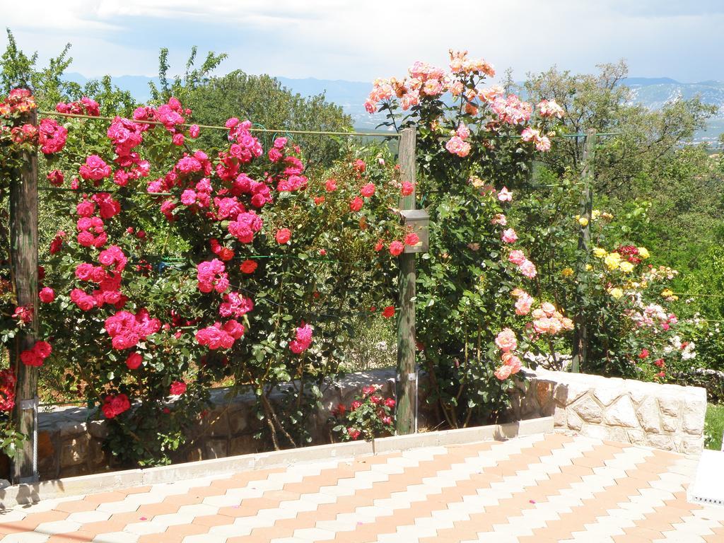 Apartment Roze Cizici