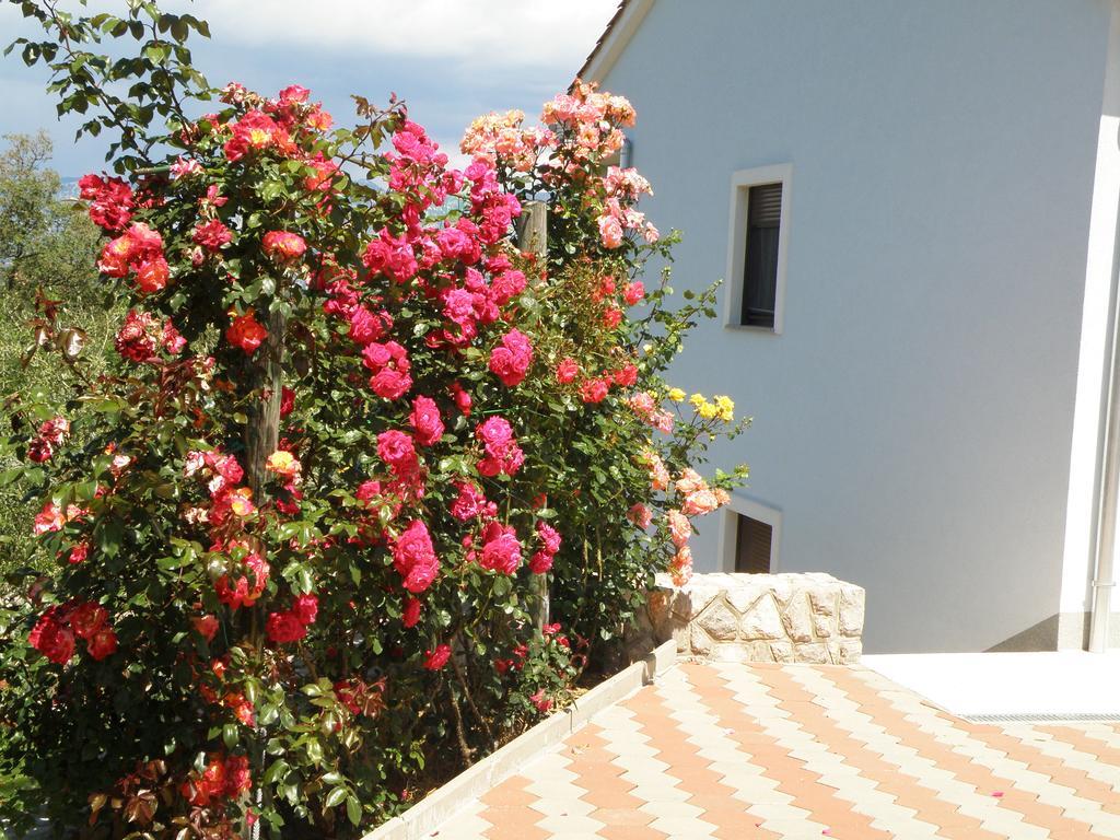 Roze Cizici