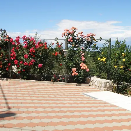 Villa Roze Čižići Zewnętrze zdjęcie