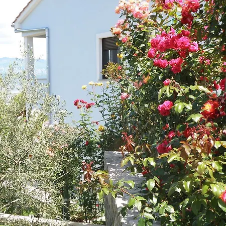 Villa Roze Čižići Zewnętrze zdjęcie