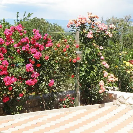 Villa Roze Čižići Zewnętrze zdjęcie